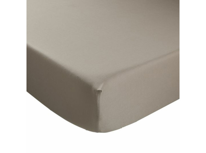 Drap housse - Coton Antibactérien  - Taupe
