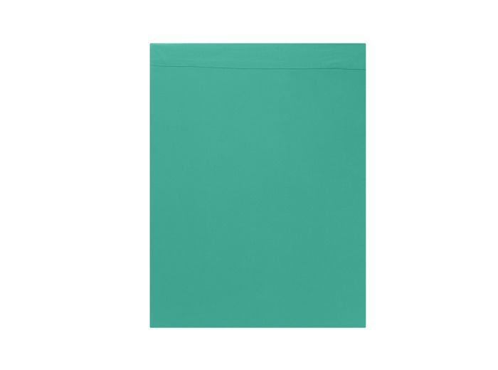 Drap plat Studio Coton Vert