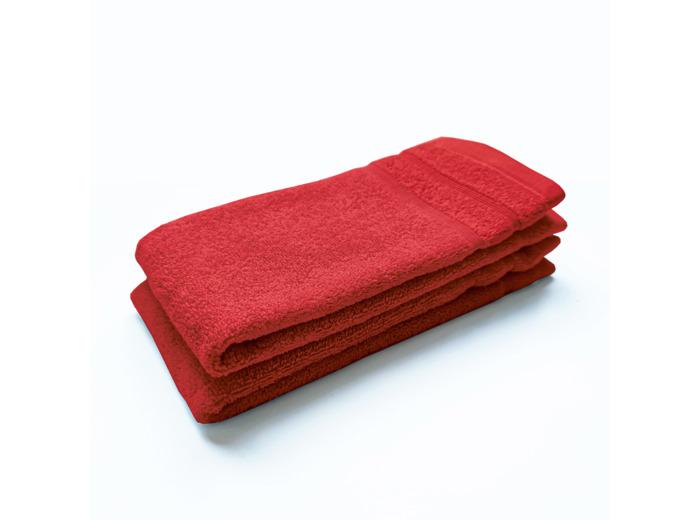 Lot de 2 Serviettes invité DODO MINERAL - Coloris ROUGE