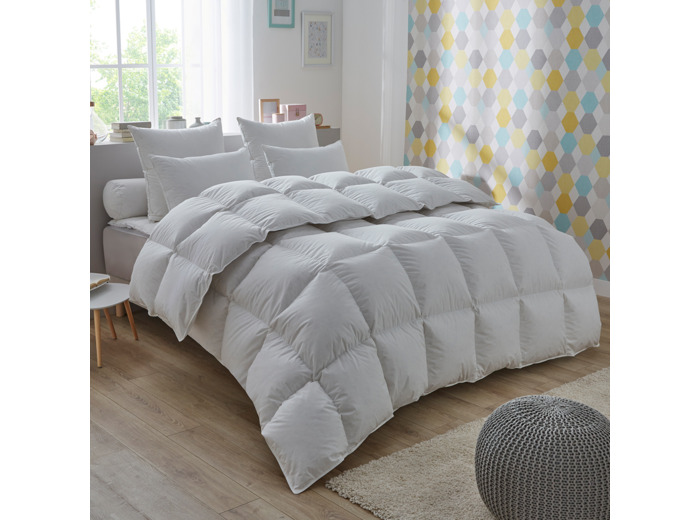 Couette 50% duvet de canard Proneem - TEMPÉRÉE