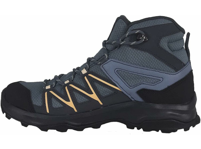 DAINTREE MID GTX