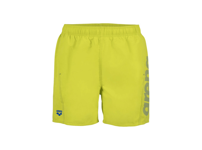 Boxer de plage arena Fundamentals Logo pour hommes