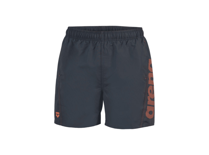 Boxer de plage arena Fundamentals Logo R pour hommes