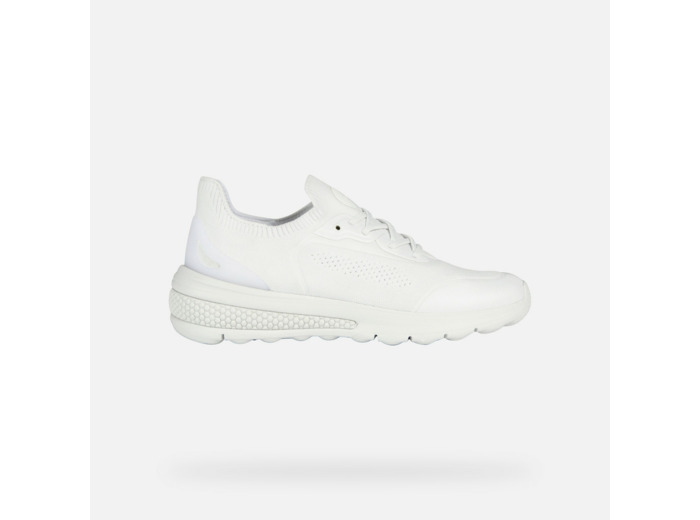 D spherica actif 80% Tissu