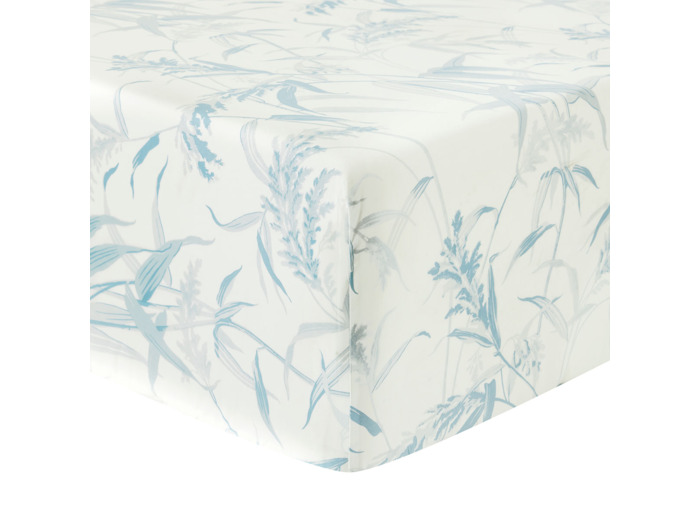 DRAP HOUSSE | Estampe