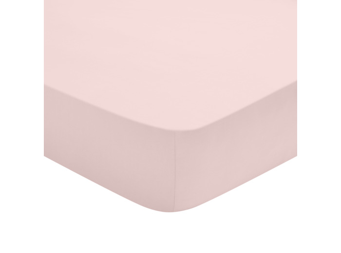 Drap Housse Studio Coton Poudre