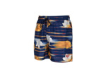 Bermuda de plage arena Allover pour hommes