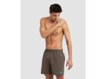 Boxer de plage arena Fundamentals pour hommes