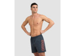 Boxer de plage arena Fundamentals Logo R pour hommes