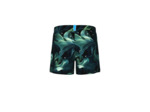 Short de plage arena Water Prints Allover pour hommes