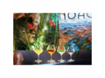 6 verres 17cl rhum Spirits