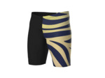 Jammer de bain arena Performance Multi Stripes pour hommes