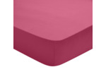 Drap Housse Studio Coton Fuchsia