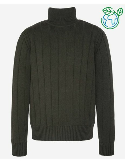 Pull hiver Schott col roulé