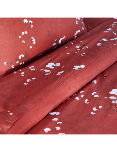 DRAP PLAT | Minimaliste