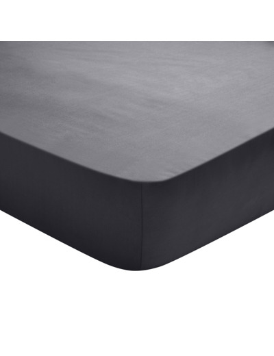 Drap Housse Studio Coton Carbone