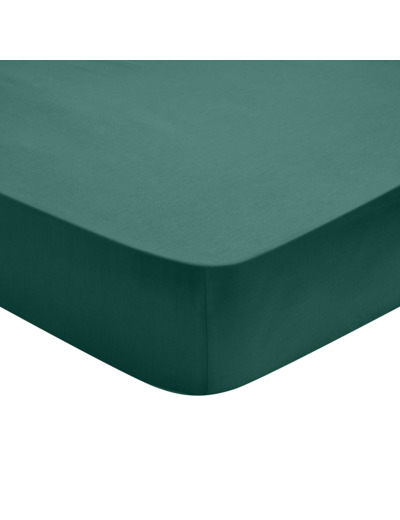 Drap Housse Influence Percale Forêt