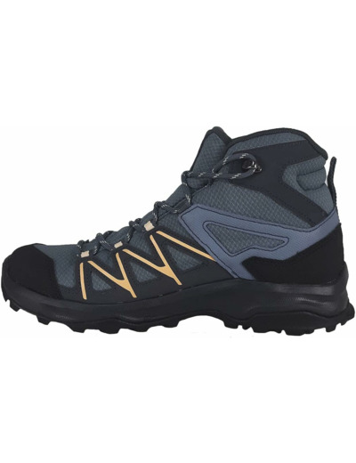 DAINTREE MID GTX
