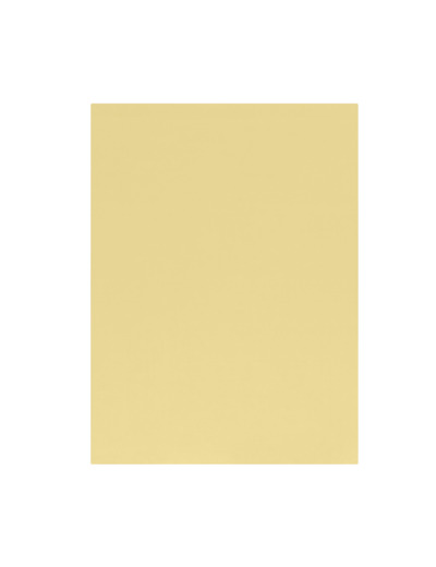 Drap plat Influence Percale Mimosa