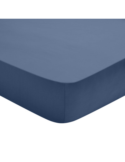 Drap Housse Studio Coton Bleu