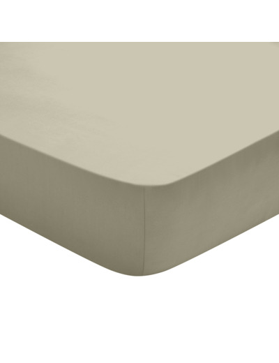 Drap Housse Studio Coton Marron Glacé