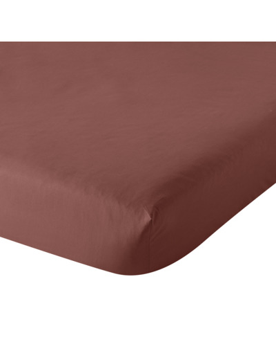 Drap Housse Influence Percale Brique