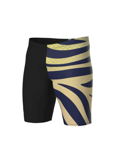 Jammer de bain arena Performance Multi Stripes pour hommes