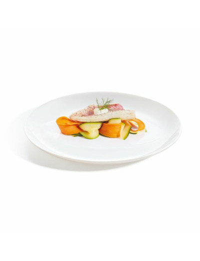 6 assiettes plates 27cm white Evolutions