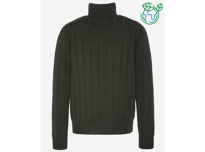 Pull hiver Schott col roulé