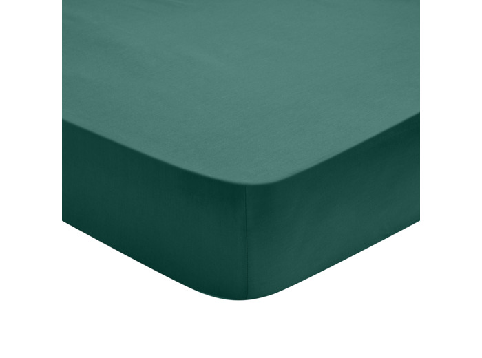 Drap Housse Influence Percale Forêt