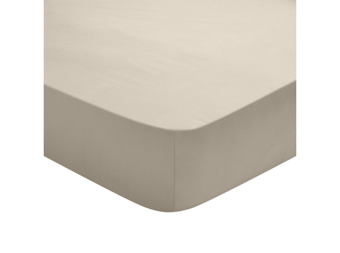 Drap Housse Studio Coton Sable