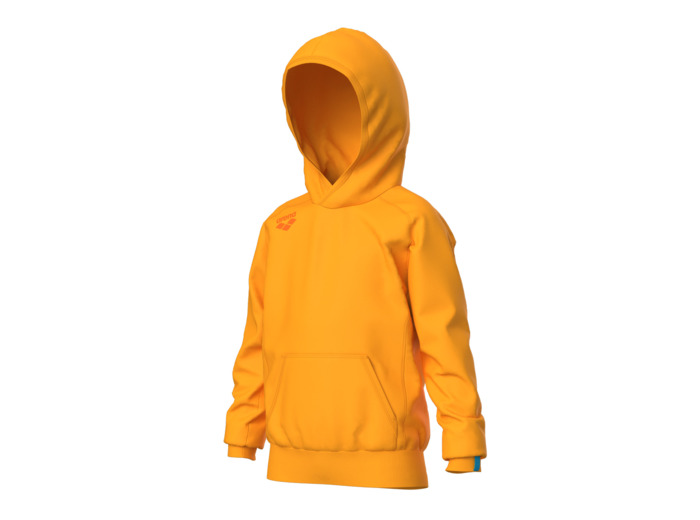 Sweat à capuche arena Team Junior Panel