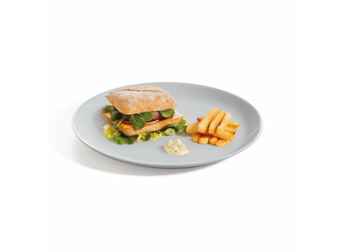 6 assiettes plates 25cm granit Evolutions