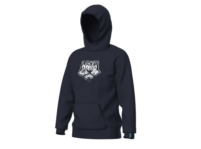 Sweat-shirt à capuche unisexe arena Graphic