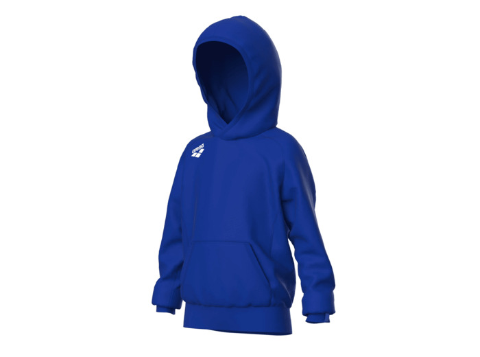 Sweat à capuche junior arena Team Panel