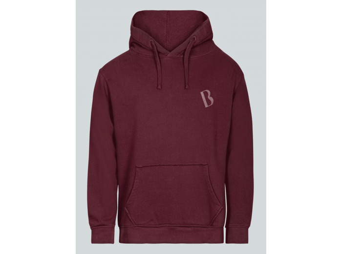 Sweat À Capuche Vert Forêt Barth