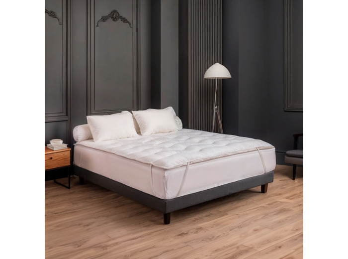 SURMATELAS | MAHONIA