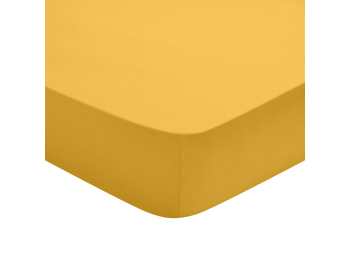 Drap Housse Studio Coton Jaune