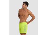 Boxer de plage arena Fundamentals Logo pour hommes