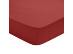 Drap Housse Studio Coton Rouge