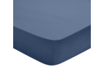 Drap Housse Studio Coton Bleu