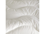 SURMATELAS | MAHONIA