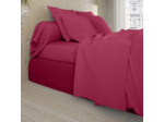 Drap Housse Studio Coton Fuchsia