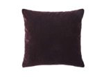 COUSSIN | Bel ami - Bourgogne
