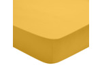 Drap Housse Studio Coton Jaune