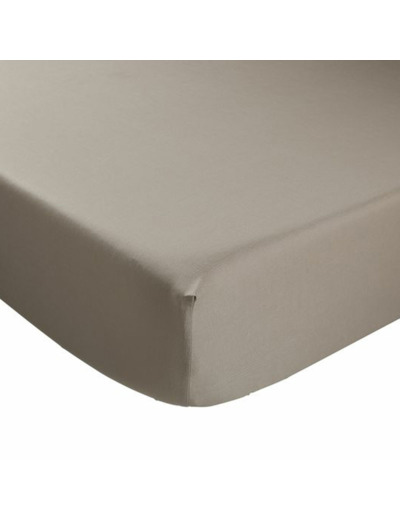 Drap housse - Coton Antibactérien  - Taupe