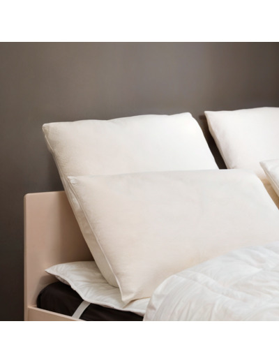 OREILLER | IBERIS synthétique - Memoire de forme