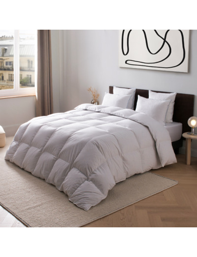 COUETTE | ADONIS Synthétique - Tempérée