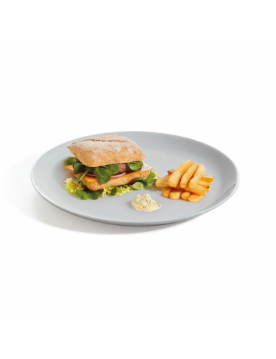 6 assiettes plates 25cm granit Evolutions