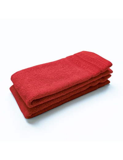 Lot de 2 Serviettes invité DODO MINERAL - Coloris ROUGE
